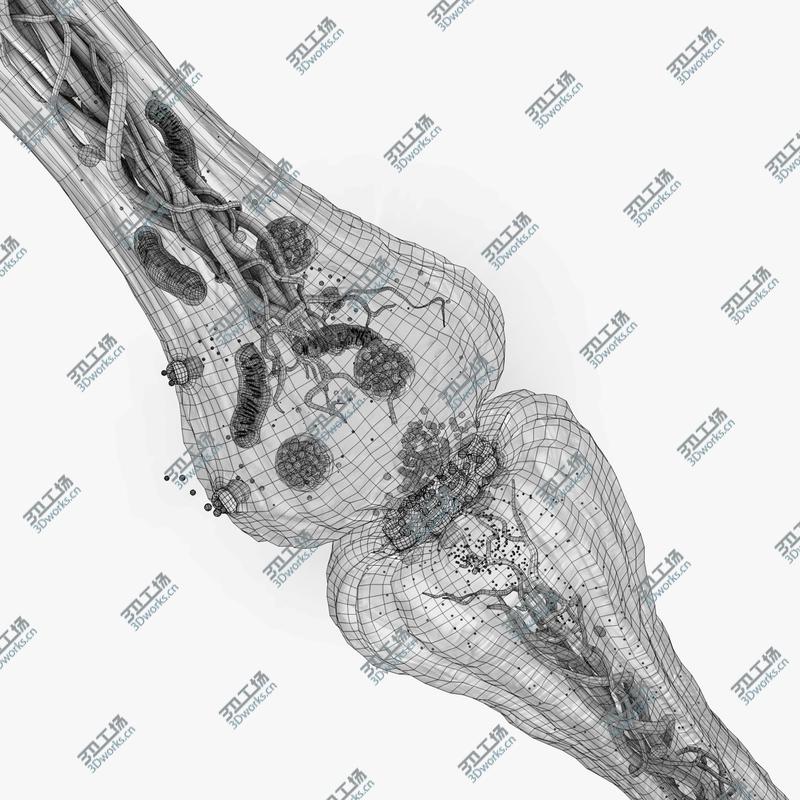 images/goods_img/2021040231/3D model Synapse/3.jpg